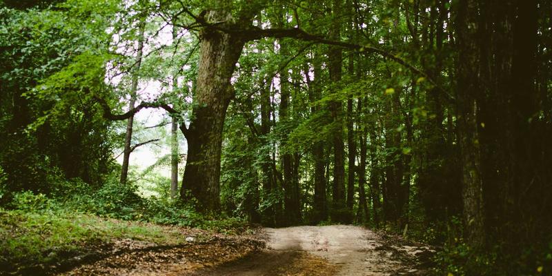 5G+边缘计算：解锁智能制造流程优化与卡纳流程实时控制新范式