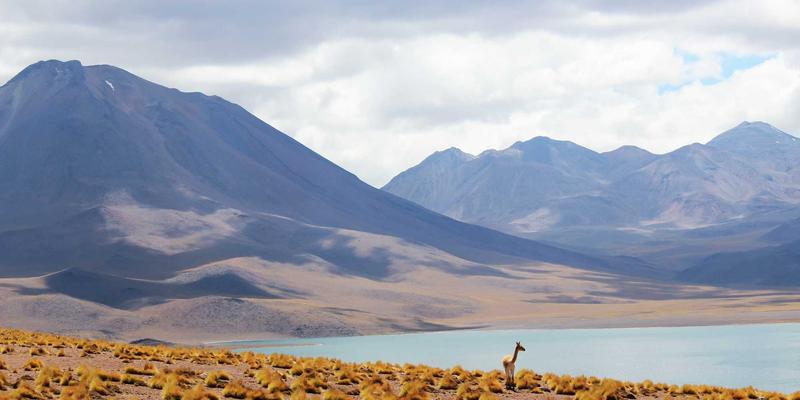 从传统到智能:工业流程自动化与工业4.0转型的深度案例分析