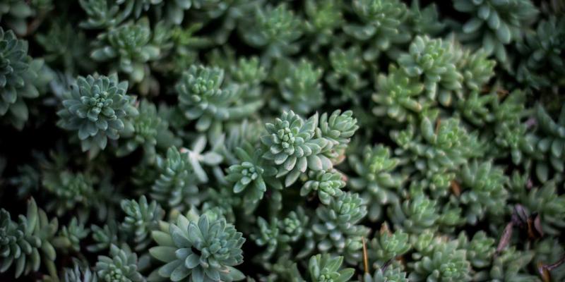 卡纳流程革命：基于机器视觉的智能制造表面缺陷智能检测与分类系统