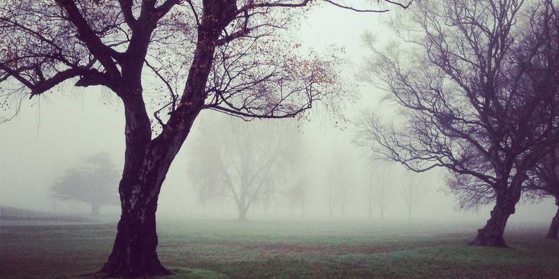 基于人工智能的工业流程异常检测与根因分析：驱动流程优化与卡纳流程管理的智能引擎