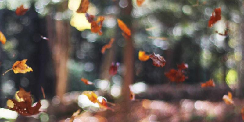 基于机器视觉的流程质量在线检测与缺陷分类：驱动自动化与工业4.0流程优化的关键技术