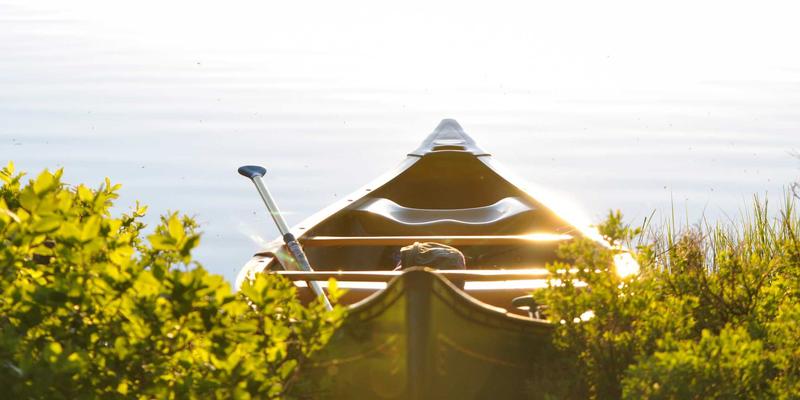 工业4.0时代食品饮料批次追溯的革新：自动化与区块链构建全链透明度