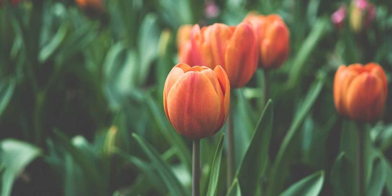 工业流程90:卡纳流程如何驱动自动化与工业4.0的深度融合