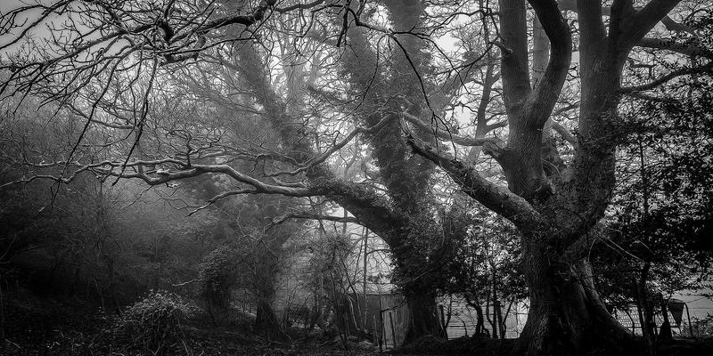 工业流程能源效率革命：从卡纳流程到自动化废热回收的系统优化策略