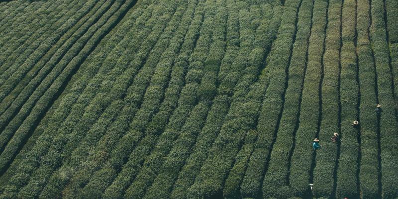 智能制造新引擎：流程工业预测性维护的数据驱动之道